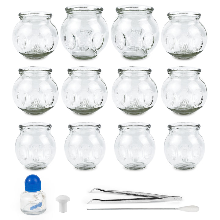 Tenchi Glass Cupping Therapy Set — 12 Cup Kit (Sizes 3‑5)